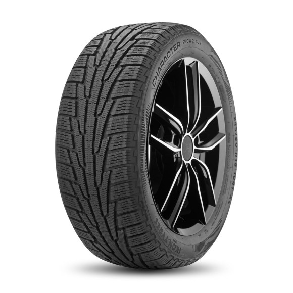 Шины Ikon Tyres  235/55/18  R 104 Ikon Character Snow 2 SUV  XL