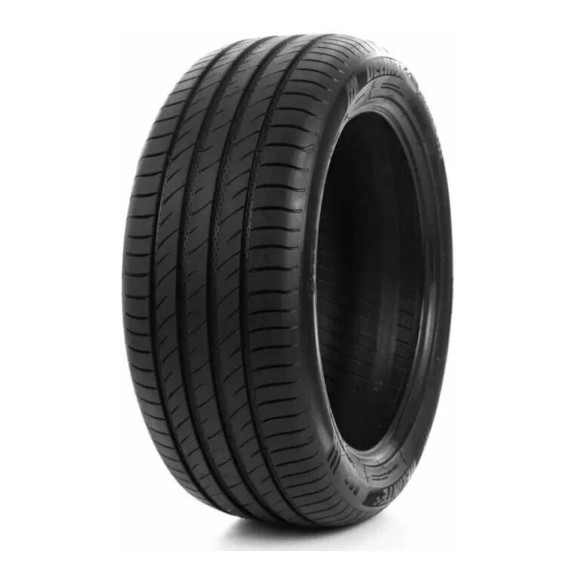 Шины DELINTE  215/50/17  W 95 DS2  XL