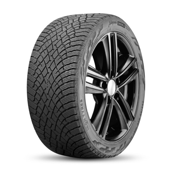 Шины Ikon Tyres  255/55/18  R 109 Ikon Autograph Snow 5 SUV  XL